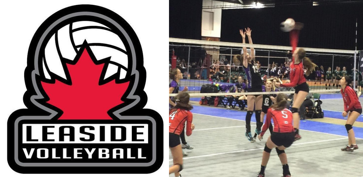 Photo of the Leaside Volleyball Clubs logo and court